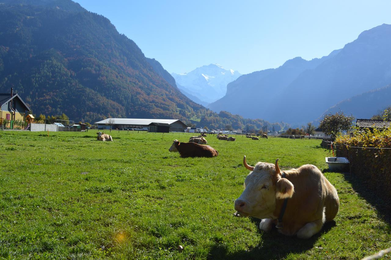 Jungfrau Family Holiday Home Matten bei Interlaken Ngoại thất bức ảnh