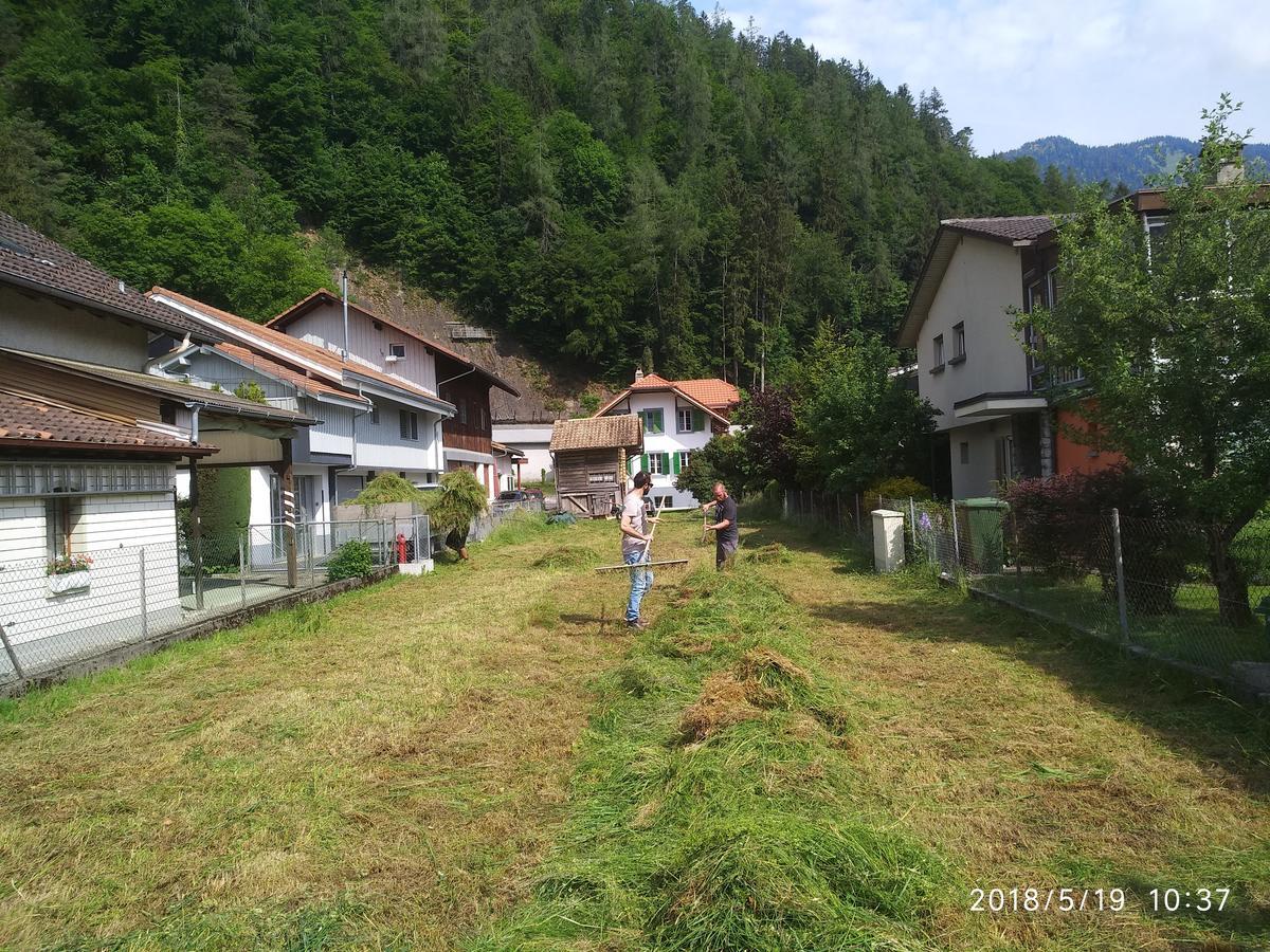 Jungfrau Family Holiday Home Matten bei Interlaken Ngoại thất bức ảnh